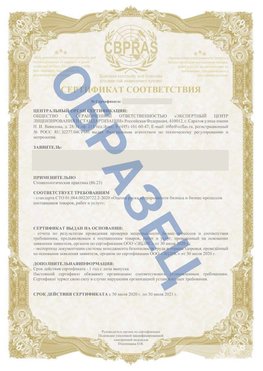 Образец Сертификат СТО 01.064.00220722.2-2020 Усть-Кинельский Сертификат СТО 01.064.00220722.2-2020 